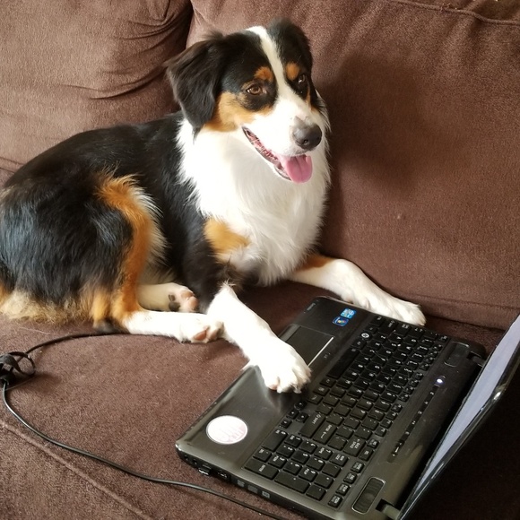 Meet your Posher, Catherine - Picture 7 of 8